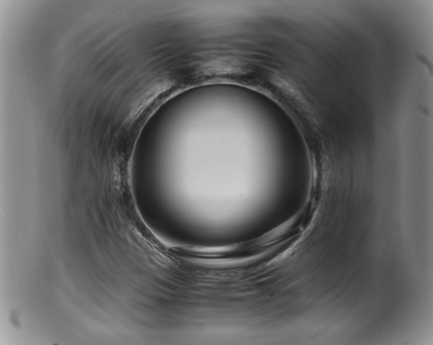 X0000099511305200805151450