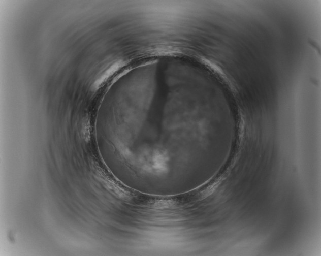 X0000099511306200805151450