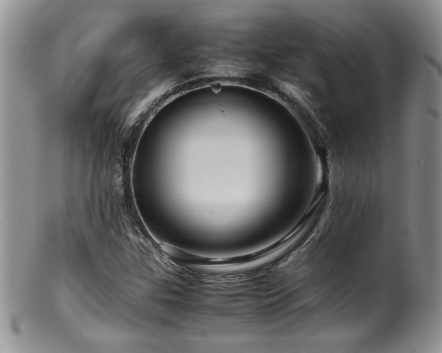 X0000099511307200805151450