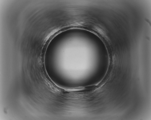 X0000099511308200805151450