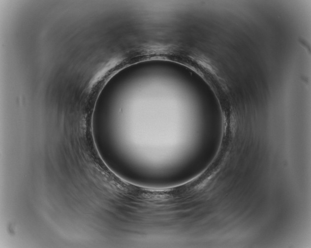 X0000099511309200805151450