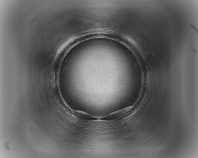 X0000099511310200805151450