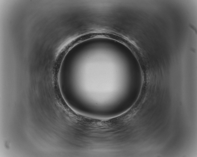 X0000099511311200805151450