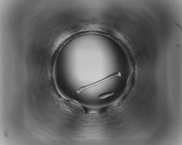 X0000099511312200805151450