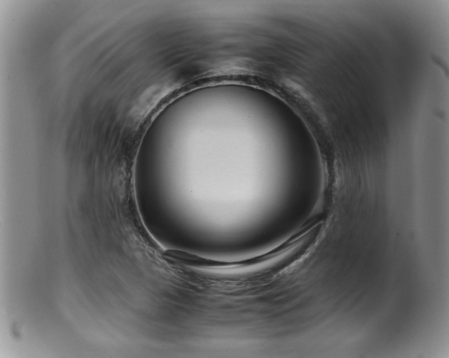 X0000099511313200805151450