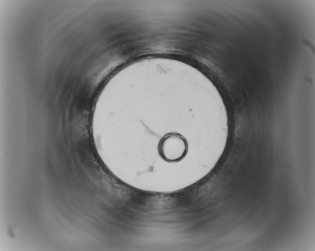 X0000099511314200805151450