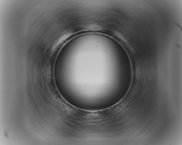X0000099511315200805151450