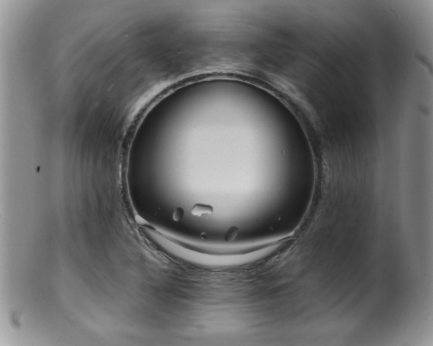 X0000099511316200805151450