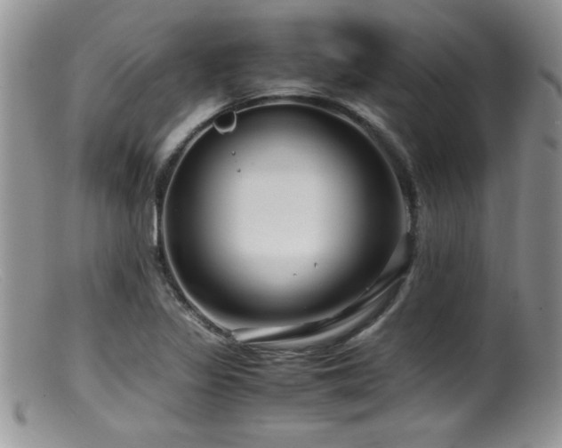 X0000099511317200805151450