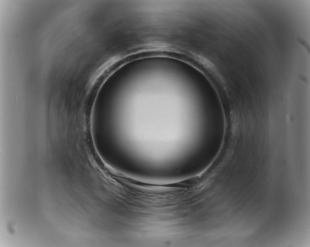 X0000099511318200805151450