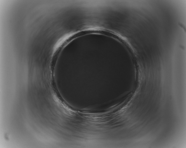 X0000099511319200805151450