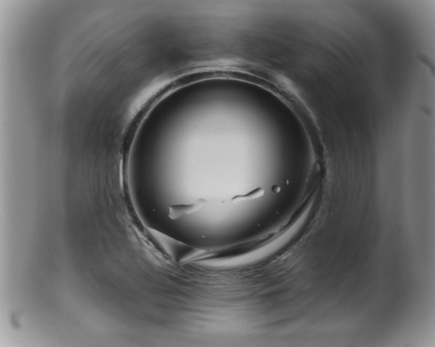 X0000099511320200805151450