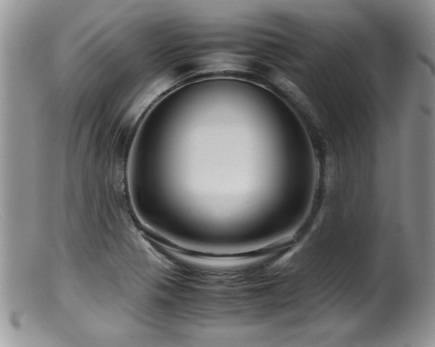 X0000099511321200805151450