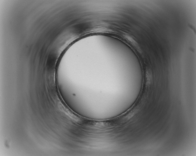 X0000099511322200805151450