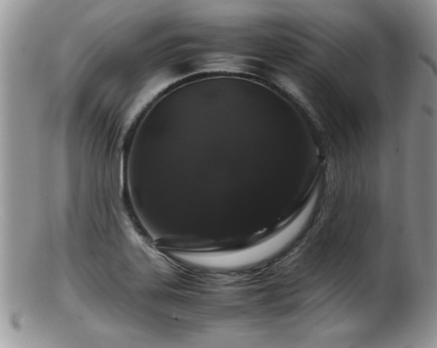 X0000099511323200805151450