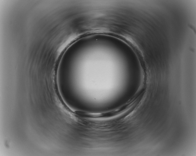 X0000099511325200805151450