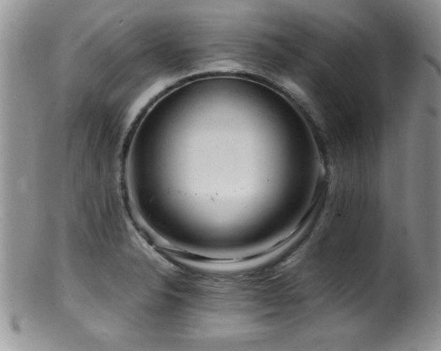 X0000099511326200805151450