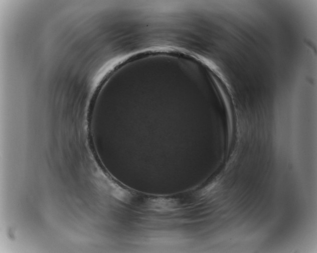 X0000099511327200805151450