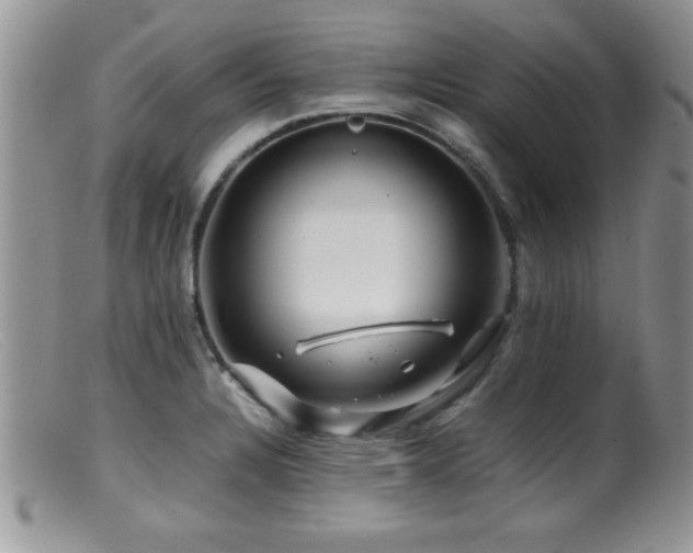 X0000099511328200805151450