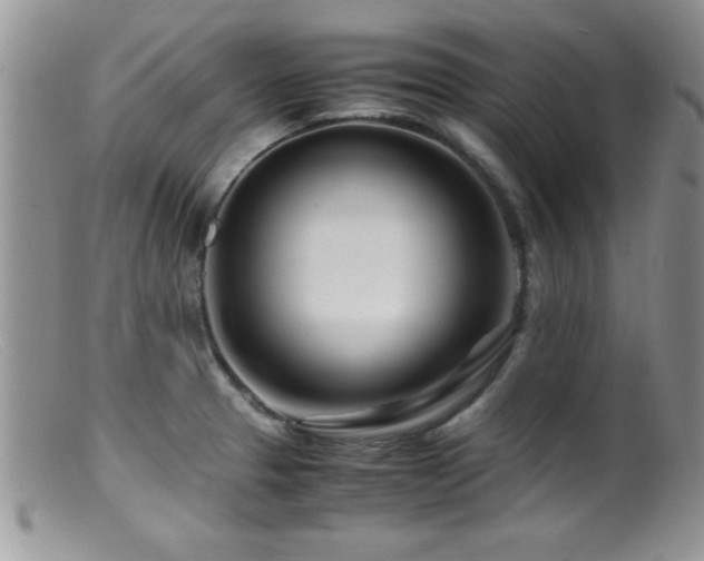 X0000099511329200805151450