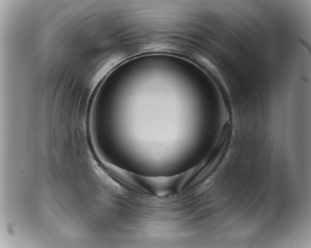 X0000099511330200805151450