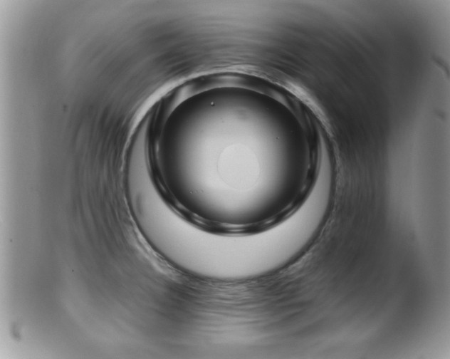 X0000099511332200805151450