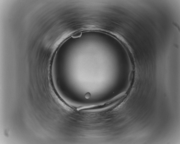 X0000099511333200805151450