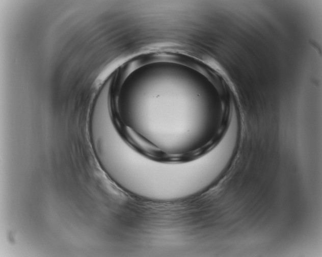 X0000099511336200805151450
