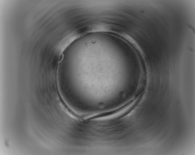 X0000099511337200805151450