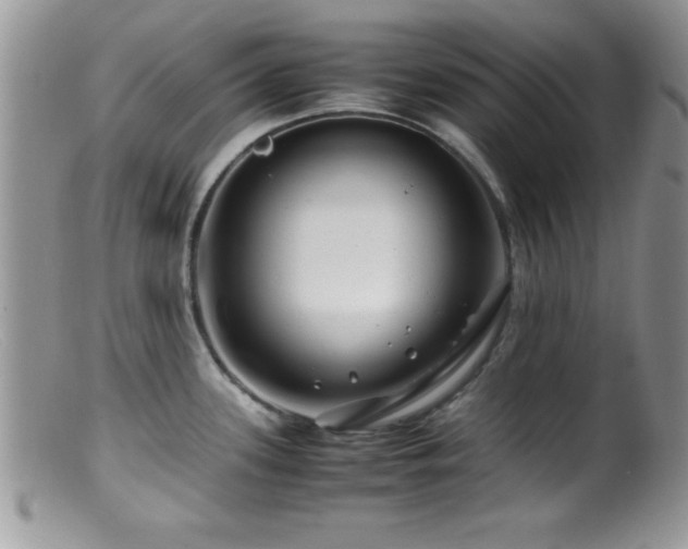 X0000099511339200805151450