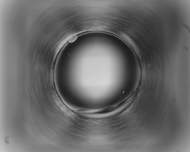 X0000099511340200805151450