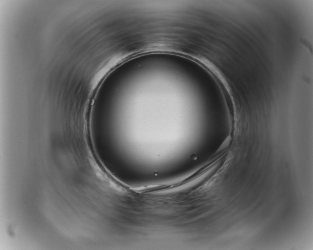 X0000099511341200805151450