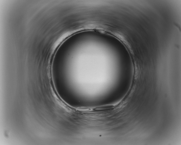 X0000099511342200805151450