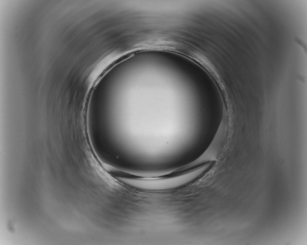 X0000099511344200805151450