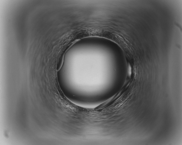 X0000099511345200805151449