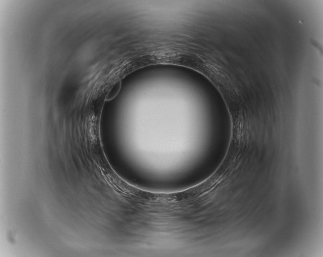 X0000099511346200805151449