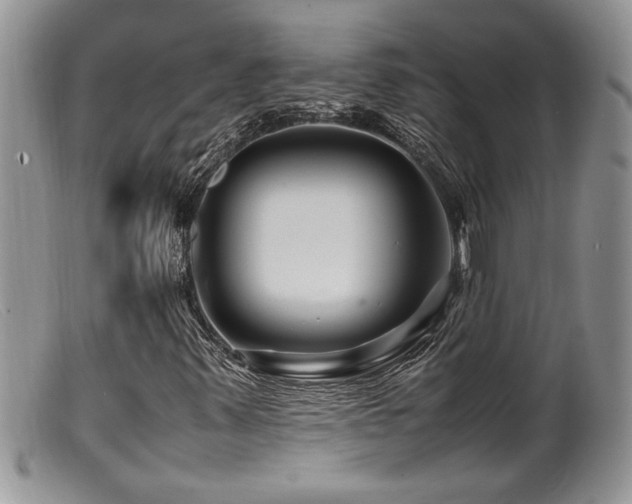 X0000099511347200805151449