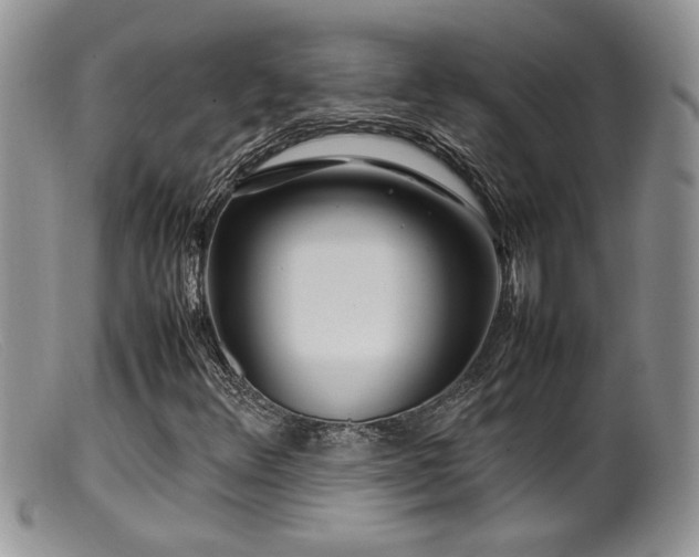 X0000099511348200805151449