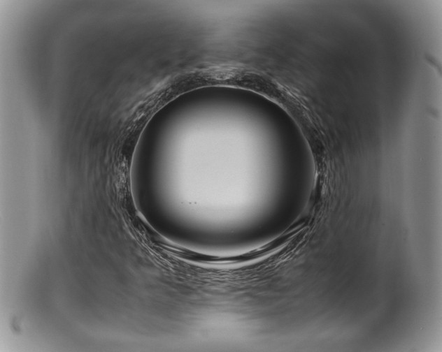 X0000099511349200805151449