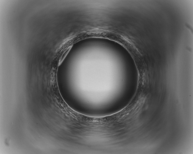X0000099511350200805151449