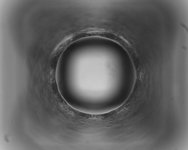 X0000099511351200805151449