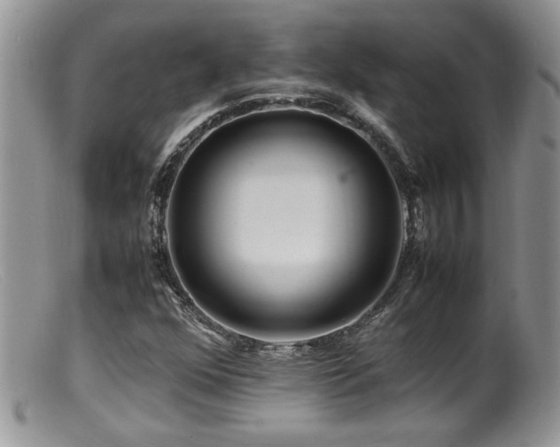 X0000099511352200805151449