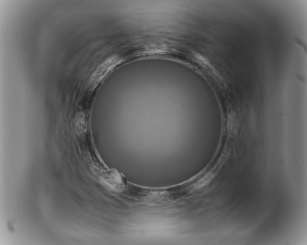 X0000099511353200805151449