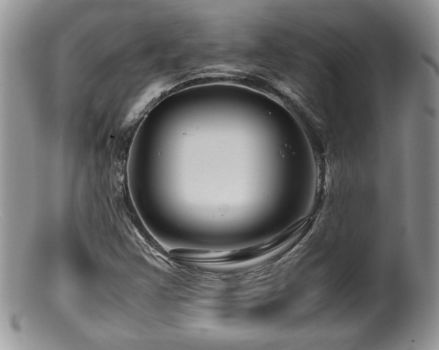 X0000099511355200805151449