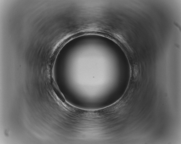 X0000099511356200805151449