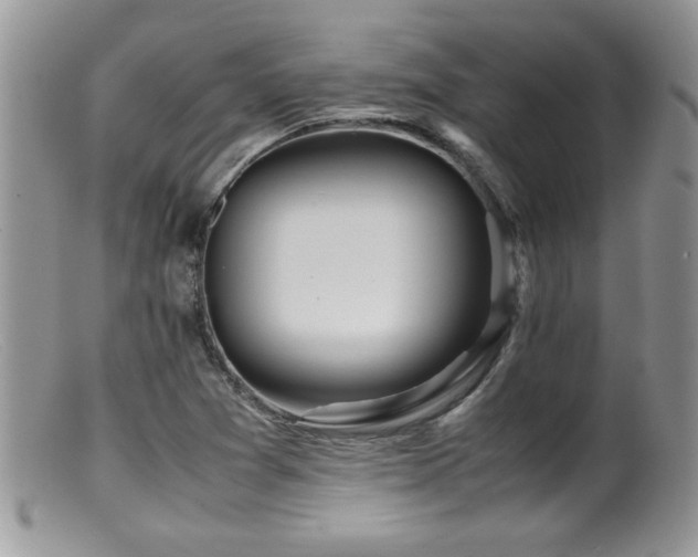 X0000099511361200805151449