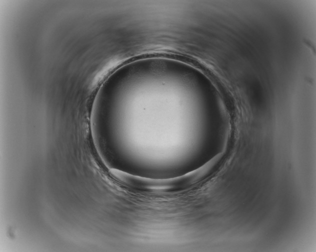 X0000099511363200805151449