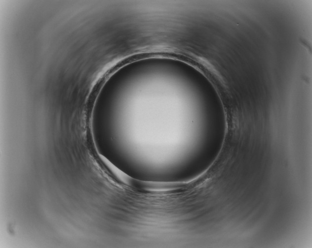 X0000099511364200805151449