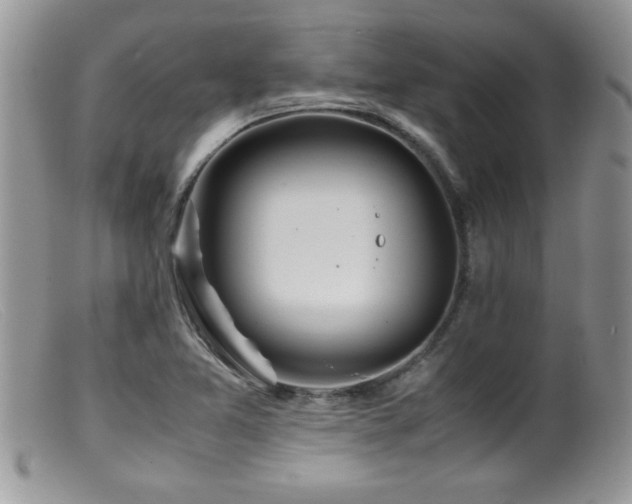 X0000099511365200805151449