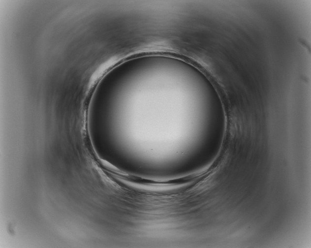 X0000099511366200805151449